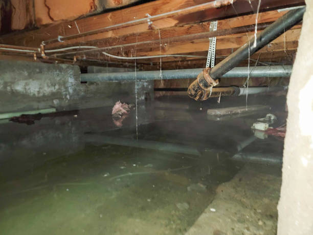 Best Water damage restoration process  in Menlo Park, CA