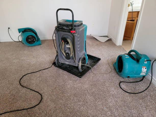 Best Carpet water damage restoration  in Menlo Park, CA