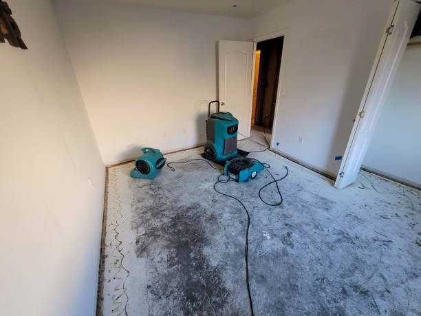 Best Water damage mitigation services  in Menlo Park, CA