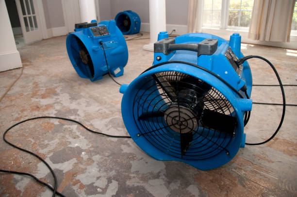 Best Water damage contractors near me  in Menlo Park, CA
